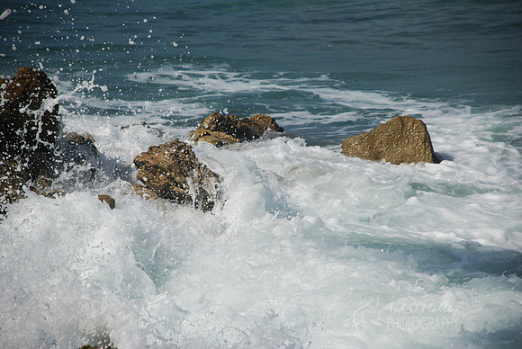 DSC_0765b